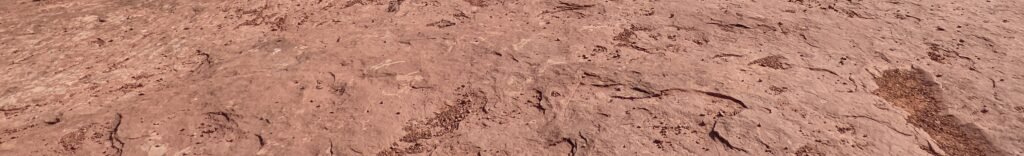 pxl 20211107 200953950 cut